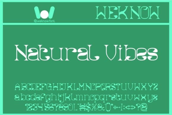 Natural Vibes: A Designer's Perspective